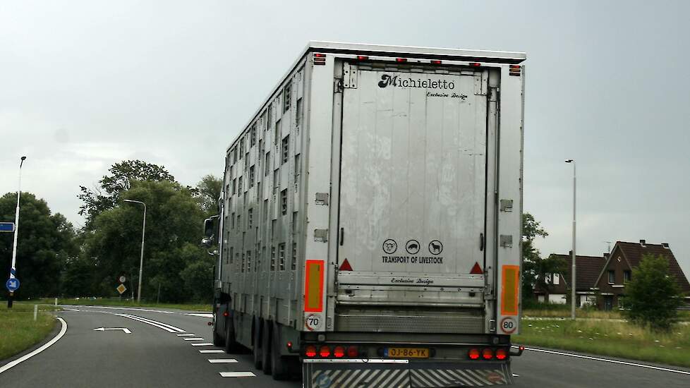 Een veetransport op de openbare weg