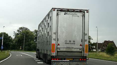 Een veetransport op de openbare weg