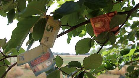 Beeld ter illustratie.