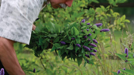 Een groeiende groep consumenten kiest bewust voor biologisch. Die toenemende vraag zien de Vereniging van Biologische Siertelers en Bionext terug in een groeiend aantal aanbieders.