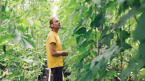 David Luijendijk, tuinder EKOlogisch