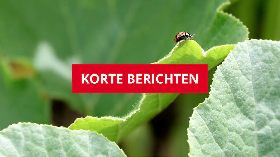 In Landbouwberichten zet Ekoland de belangrijkste headlines op een rij.