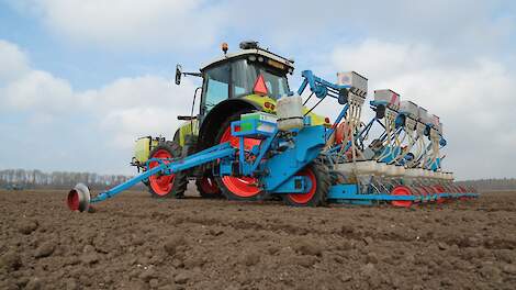 Zaaien uien zaaibed voorjaar