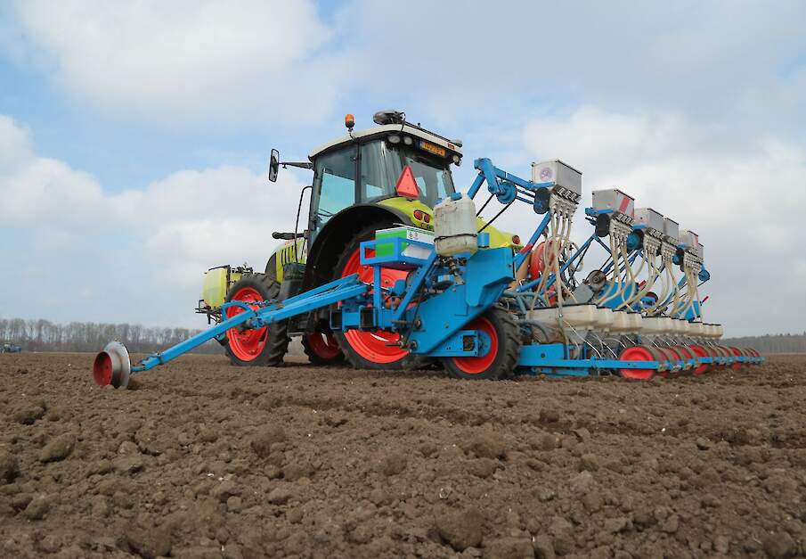 Zaaien uien zaaibed voorjaar