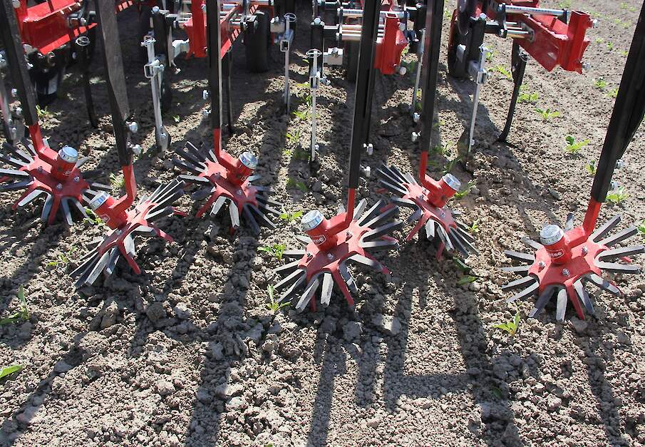 Beeld ter illustratie.