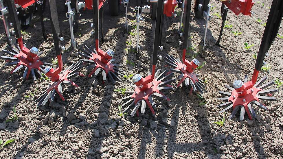 Vingerwieden mechanische onkruidbestrijding
