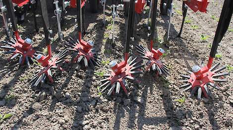 Vingerwieden mechanische onkruidbestrijding