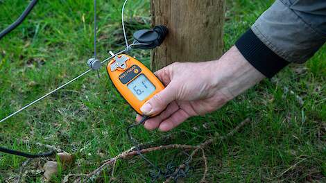 Wolfwerend stroomdraad.