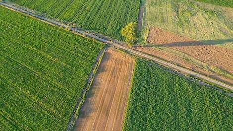 Gecombineerde opgave 2026