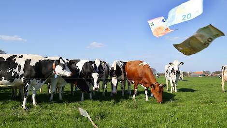 Beeld ter illustratie.