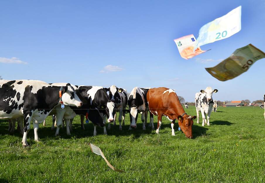 Beeld ter illustratie.