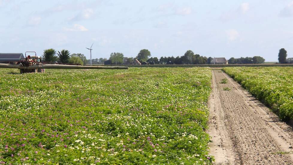 Aardappelveld gewasbescherming veldspuit