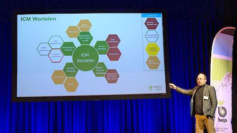 Mark Ermers en de hexagon-tegels binnen het ICM-model voor wortelen.