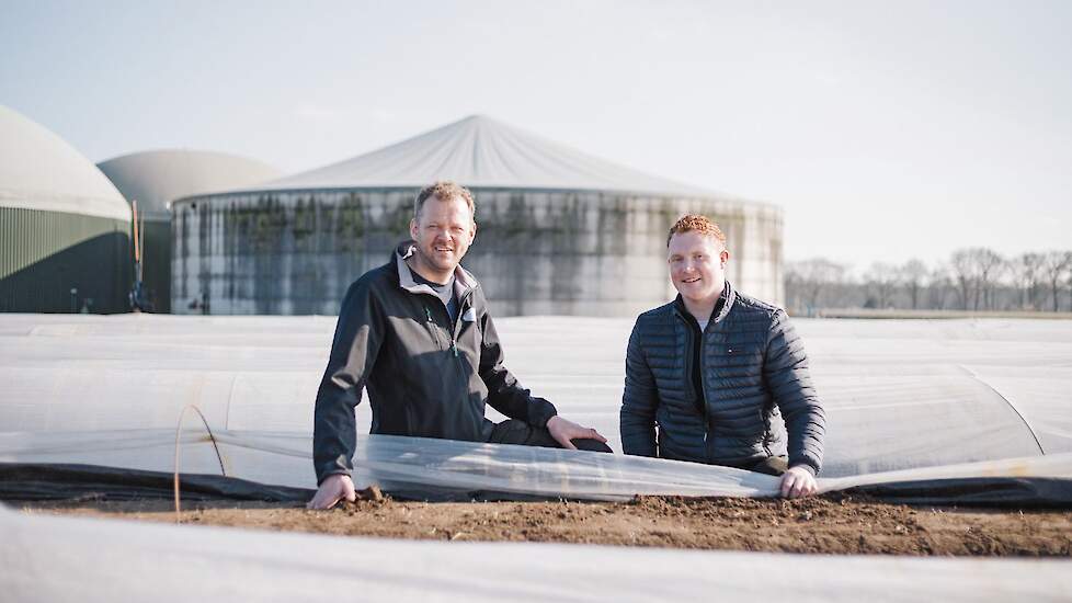 Hermen Hoorn en zijn vaste medewerker Lennard Schuiling tussen de asperges.