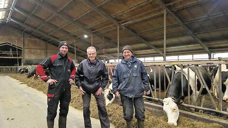 Bas Ubbink, Marcel te Bogt en Arnold te Bogt in de stal bij de melkkoeien