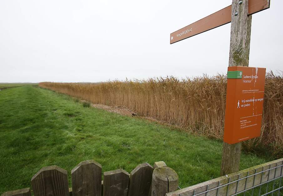 Natuurgebied in Zuidwest-Friesland.