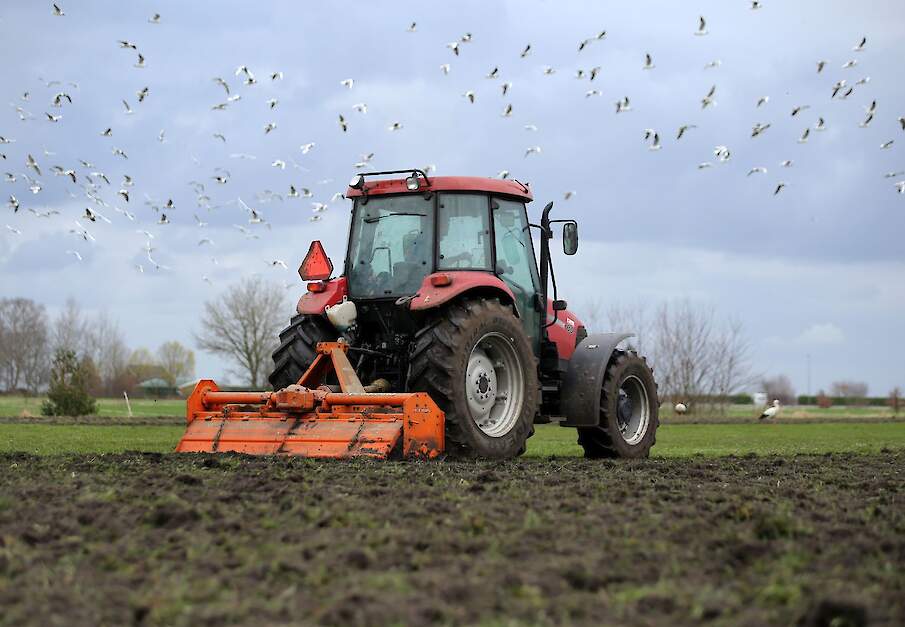 De organisaties vrezen voor de impact van het scheurverbod van grasland.