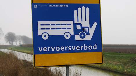 Beeld ter illustratie.