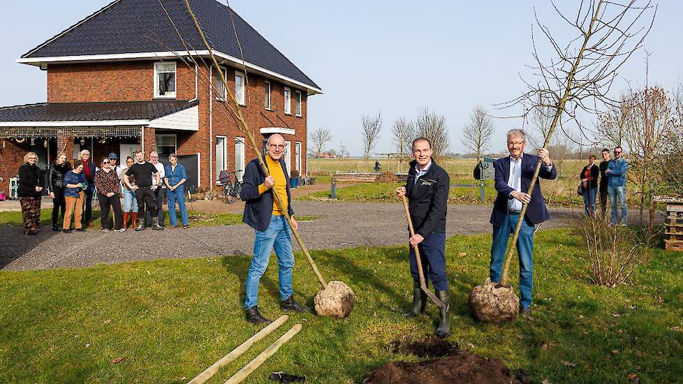 Het planten van bomen door gedeputeerde Leo Wenneger (midden), wethouder Arjen Nolles (Het Hogeland, links) en wethouder Jan Menninga (Eemsdelta, rechts).