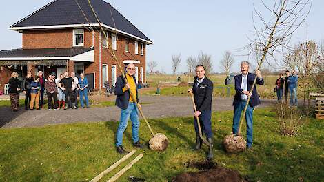 Het planten van bomen door gedeputeerde Leo Wenneger (midden), wethouder Arjen Nolles (Het Hogeland, links) en wethouder Jan Menninga (Eemsdelta, rechts).