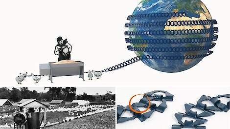 Zo ziet een kampioen eruit