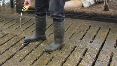 Melkveebedrijf waar mestkoeling wordt getest