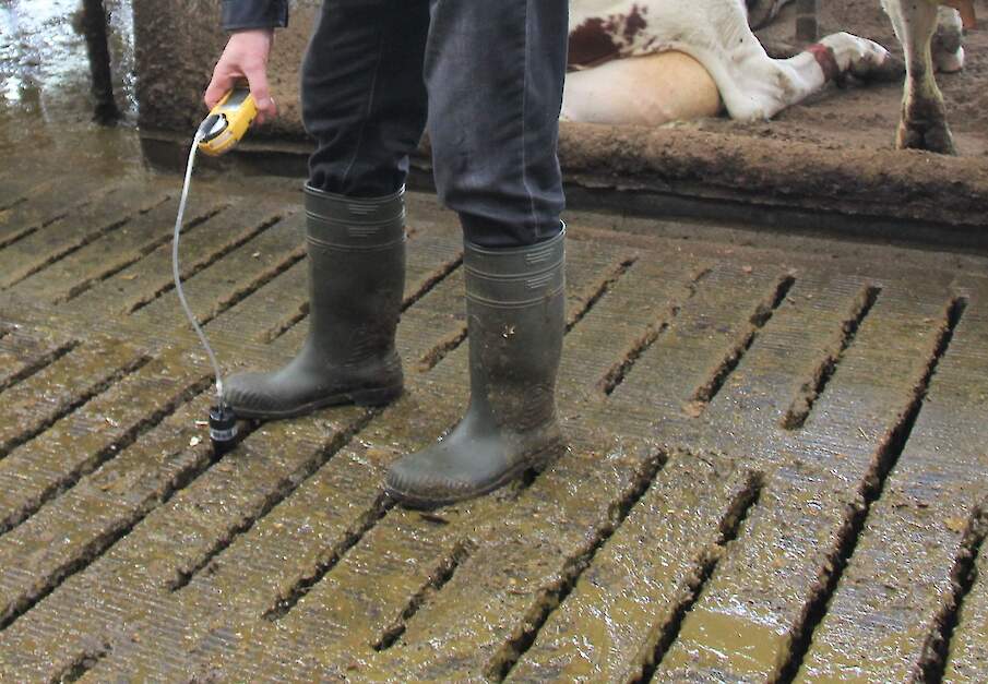 Melkveebedrijf waar mestkoeling wordt getest