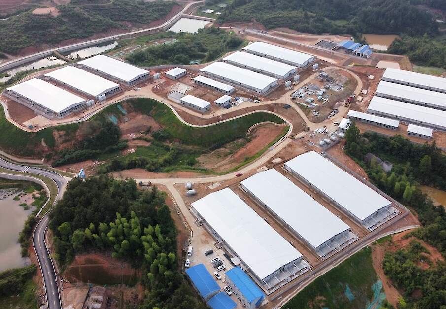 Een varkenshouderij in de stad Laoliangcang, in Ningxiang, Hunan, China.