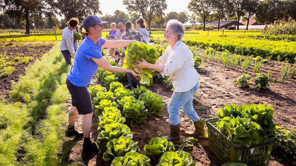 Beeld ter illustratie.