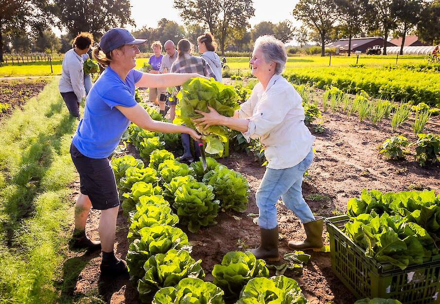 Beeld ter illustratie.