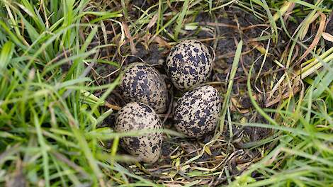 Beeld ter illustratie.