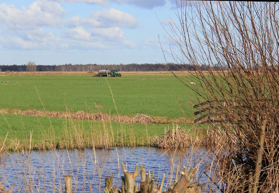 Een melkveehouder rijdt mest uit in de omgeving van Bodegraven