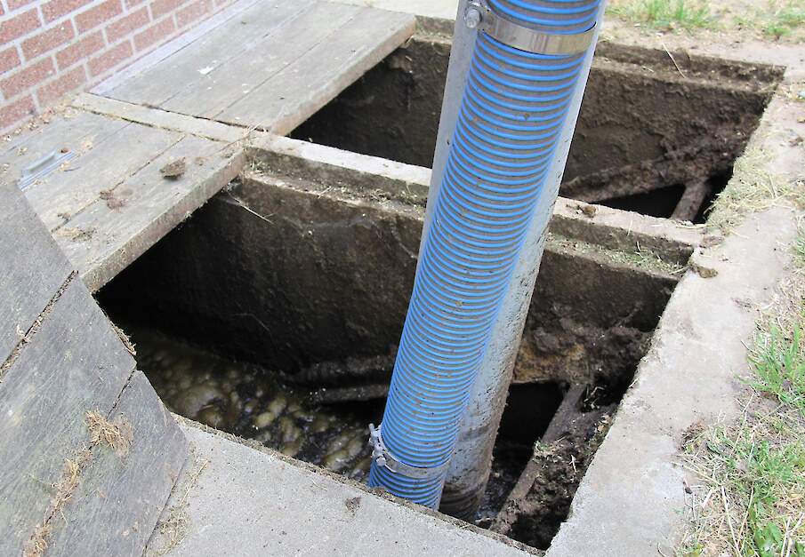 Mestkelder op melkveebedrijf met mestvoorraad