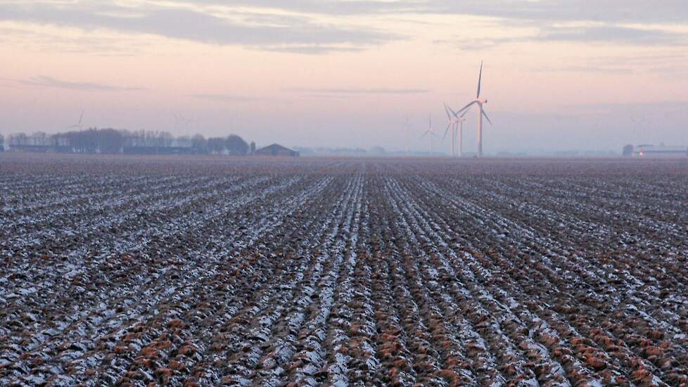 De ingewerkte groenbemesters op het bedrijf van Vos in Bant (FL).