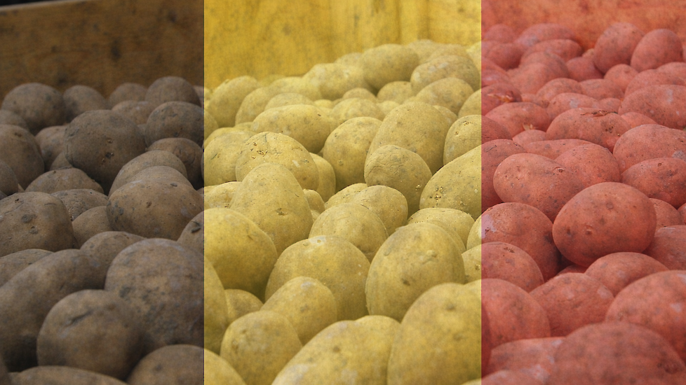 Beeld ter illustratie.