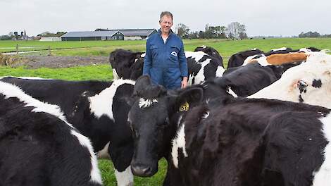 Netwerkdeelnemer Marten de Jong uit Baaium tussen zijn koeien - NPB