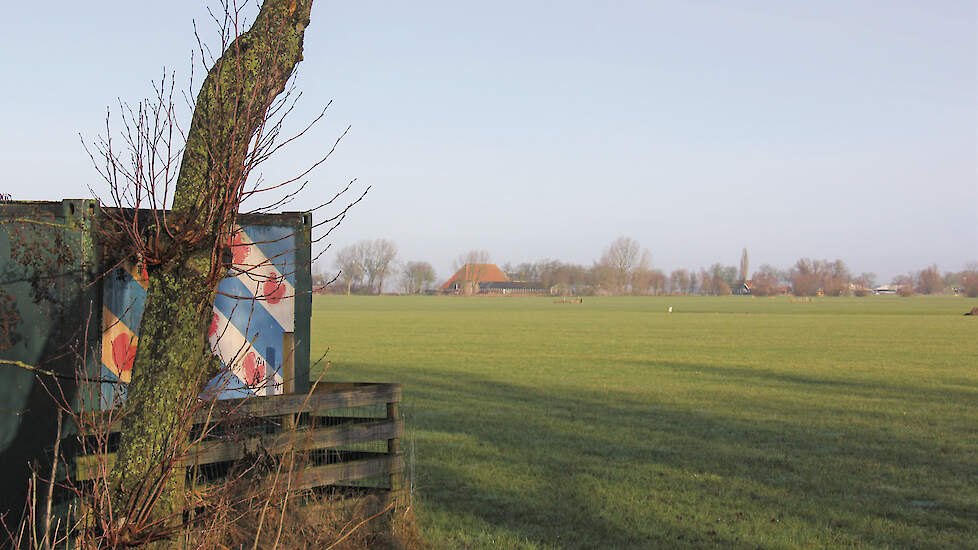 Friesland wil via doelsturing 30 procent ammoniakreductie bereiken in 2035.