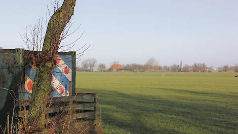 Friesland wil via doelsturing 30 procent ammoniakreductie bereiken in 2035.