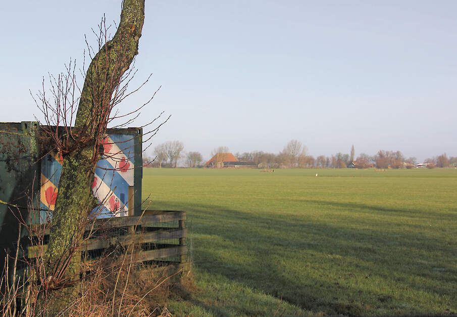 Friesland wil via doelsturing 30 procent ammoniakreductie bereiken in 2035.