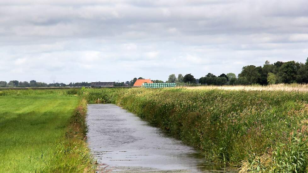 Beeld ter illustratie.