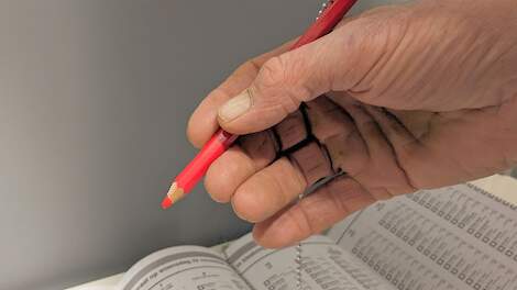 Beeld ter illustratie.