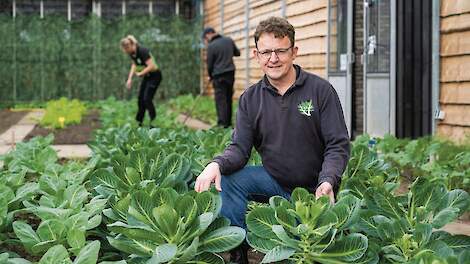 Na het faillissement van C&ecirc;laV&iacute;ta bleef Richard Hardeman zitten met 1,5 miljoen kilo aardappelen.