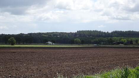 De flanken bij Damsholte.