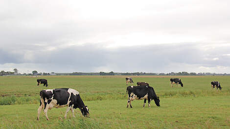 Een arrest in een PAS-zaak biedt volgens een advocaat kansen voor melders om schade te claimen bij afwijzing door de Staat.