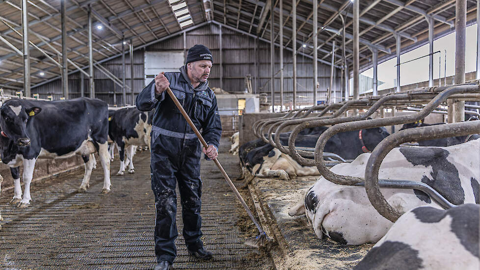 Herbert Nijhoving in de stal