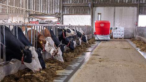 Melkveehouderij met een voerrobot van Lely