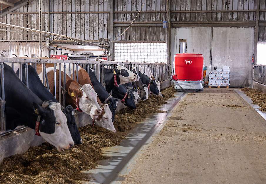 Melkveehouderij met een voerrobot van Lely