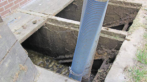 Een gerichte steekproef op de mestvoorraad werpt zijn vruchten af. Op 15 procent van de bedrijven werden afwijkingen geconstateerd.