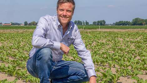 Michiel Bosdijk van BASF op z'n knie&euml;n in de bieten.