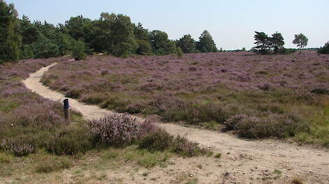 Natura 2000-gebied Borkeld.